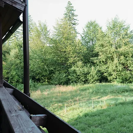 Forest View Marcus