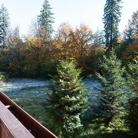 Apartment Forest View Marcus Poiana Brasov