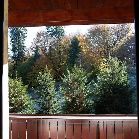 Forest View Marcus * Poiana Brasov